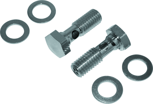 Bikers Choice Evolution Cam Big Twin Breather Bolt Kit