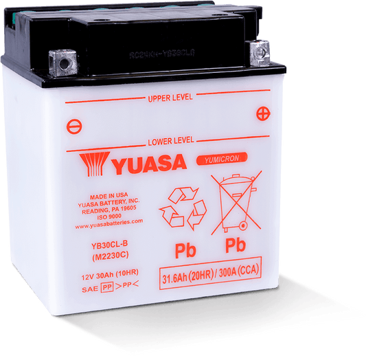 Yuasa YB30CL-B Yumicron CX 12 Volt Battery